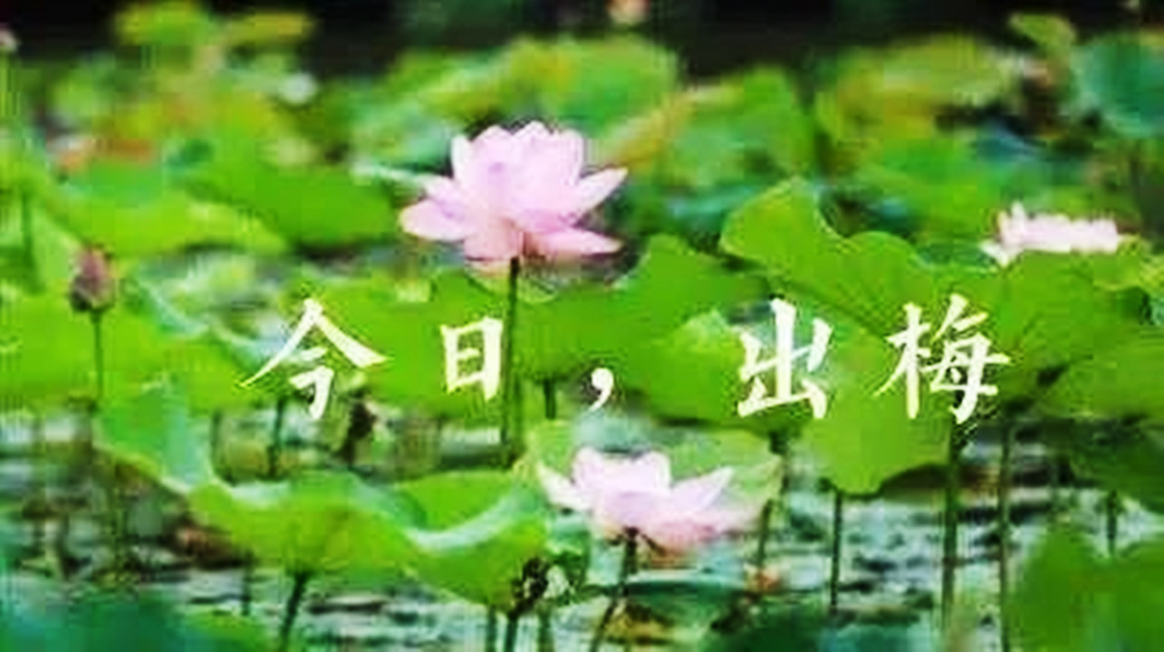 微信图片_20220426110306.jpg