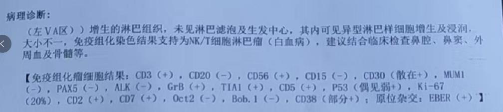 穿刺病理诊断.jpg