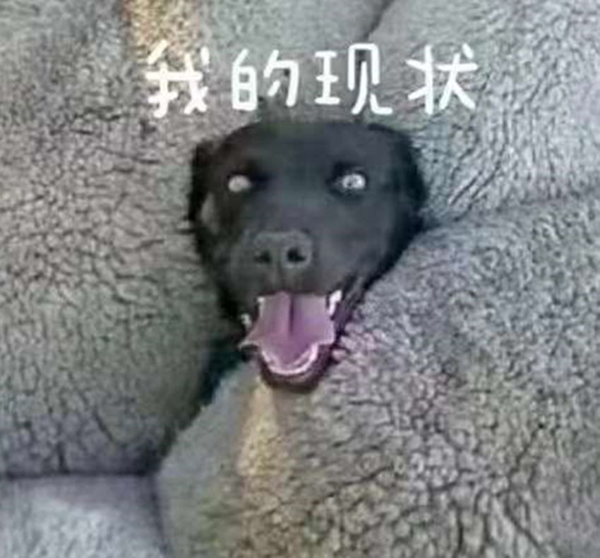 2a213ed6ae5e4b0ba16b61a43cdcfdfe_th_副本.jpg