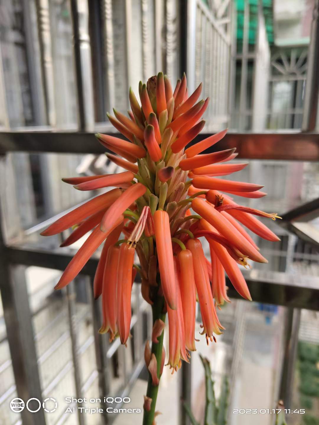 微信图片_20220425084133.jpg