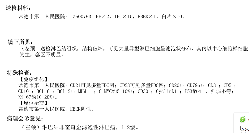 周小鸽病理下载.png
