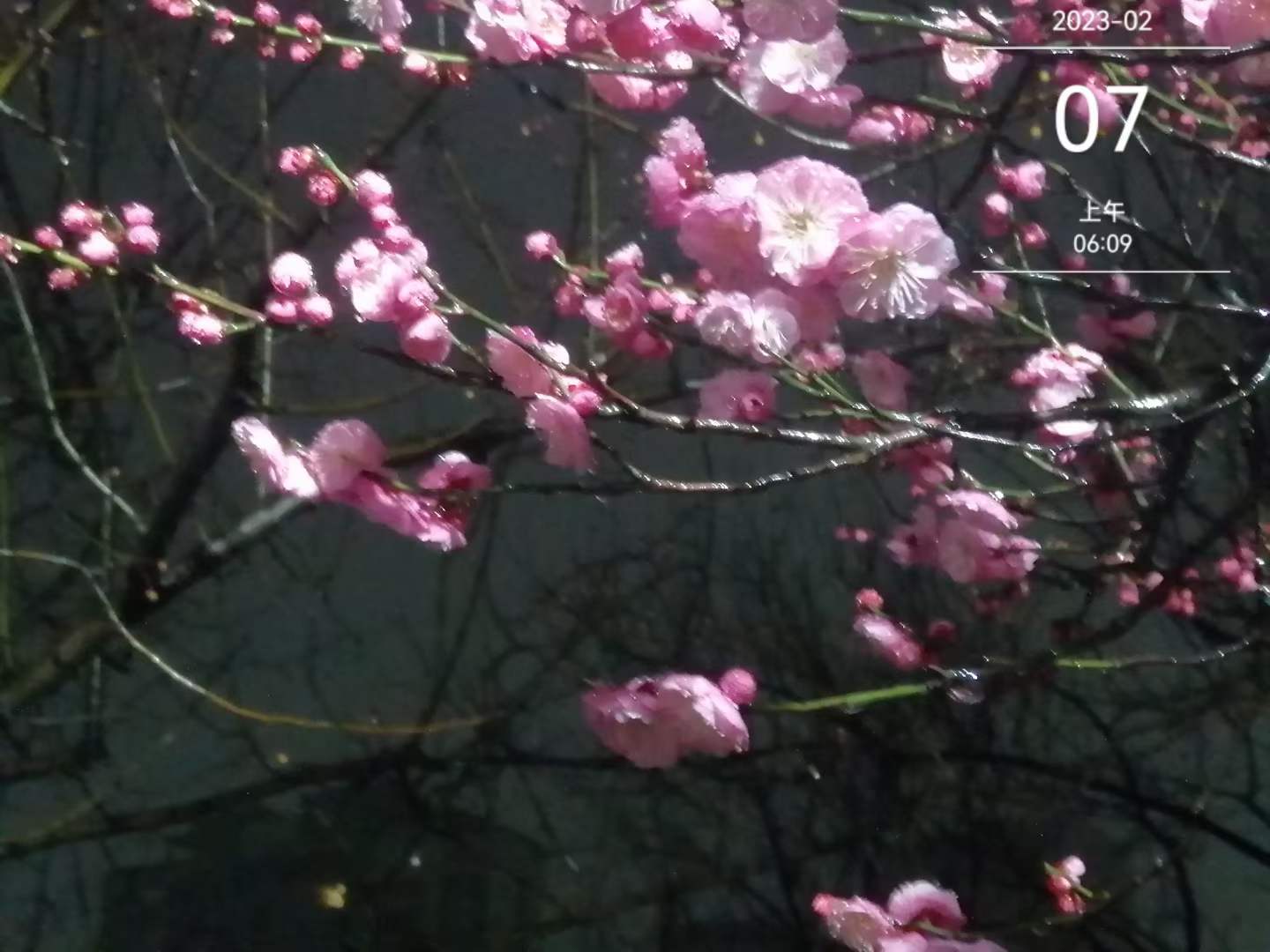 微信图片_20230207083233.jpg
