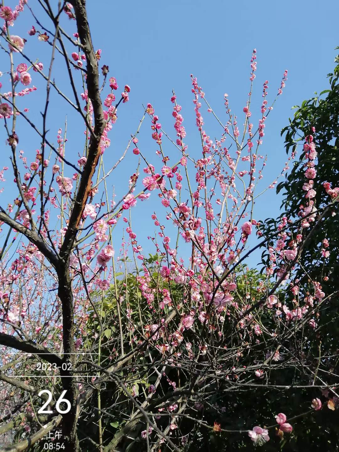 微信图片_20220426110231.jpg