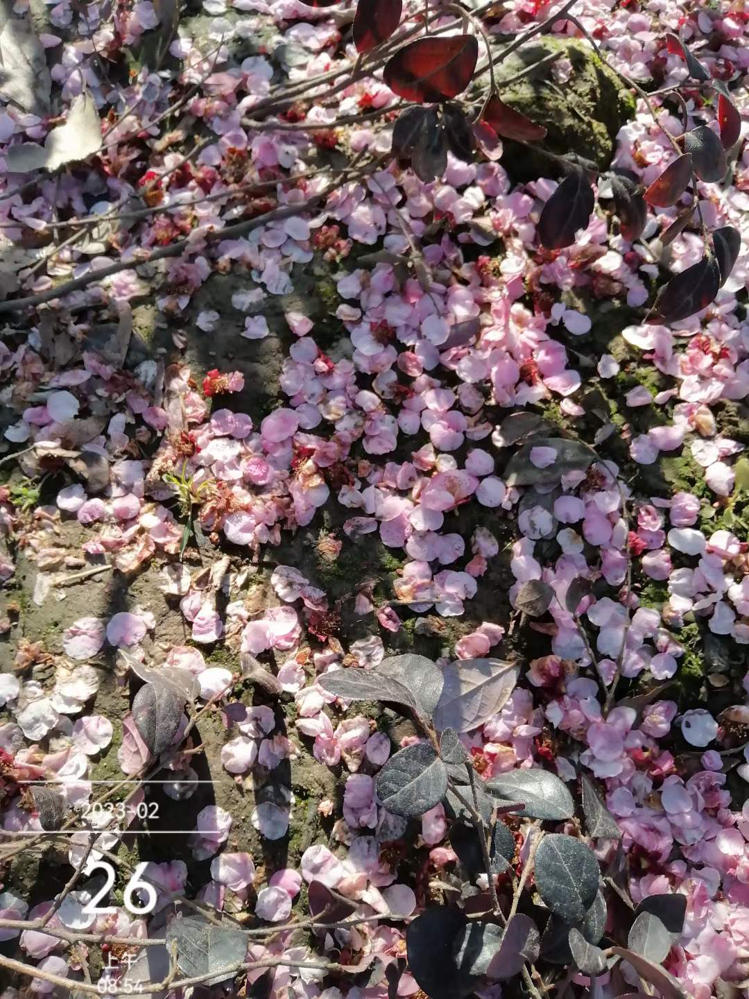微信图片_20220426110255.jpg