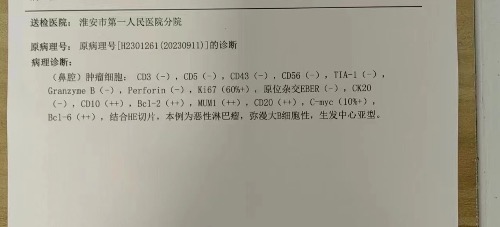 BBF3B746-409F-41EF-AF07-4C83C5F6C408.jpeg