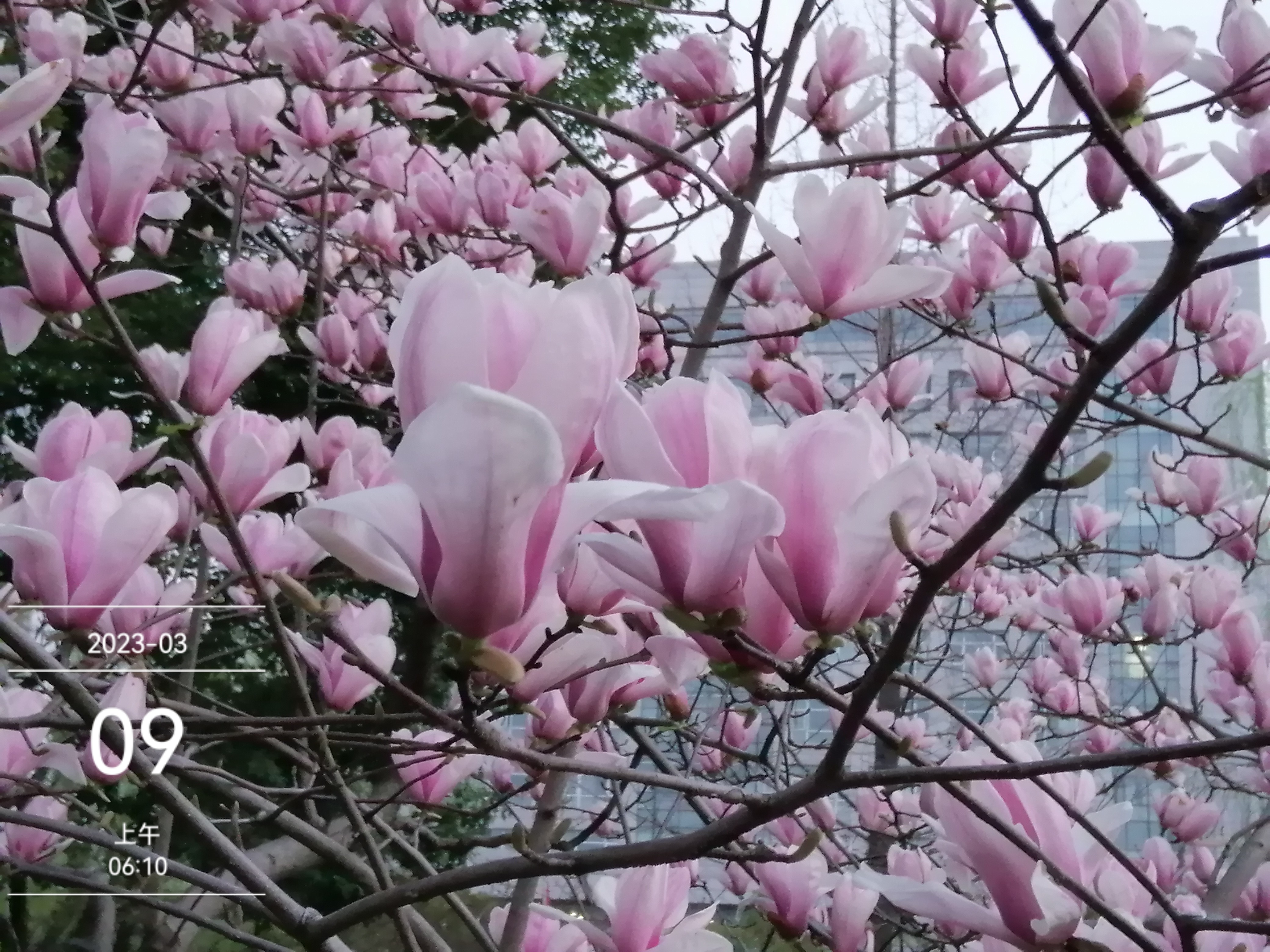 微信图片_20230310155437.jpg