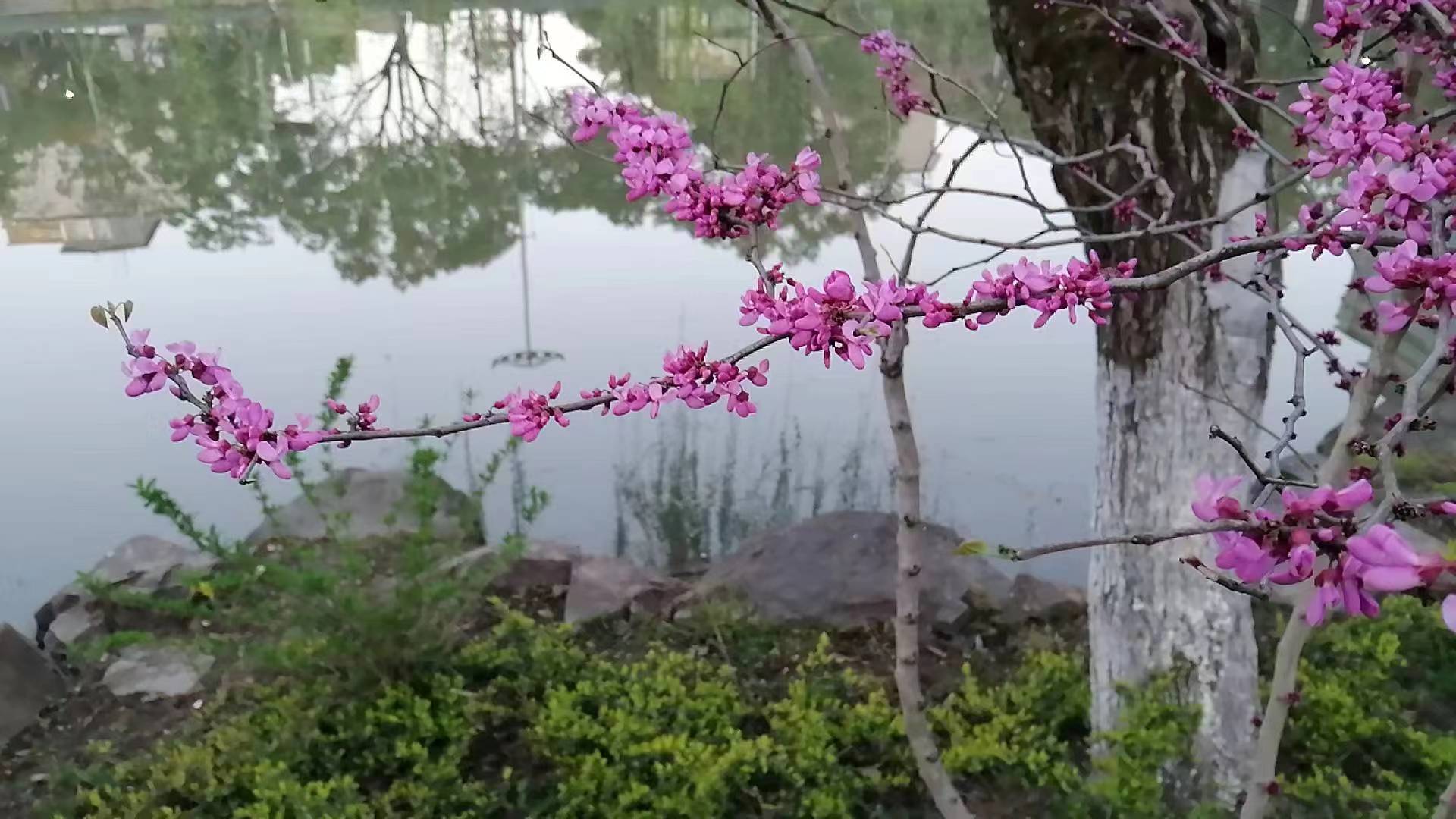 微信图片_20230314141818.jpg