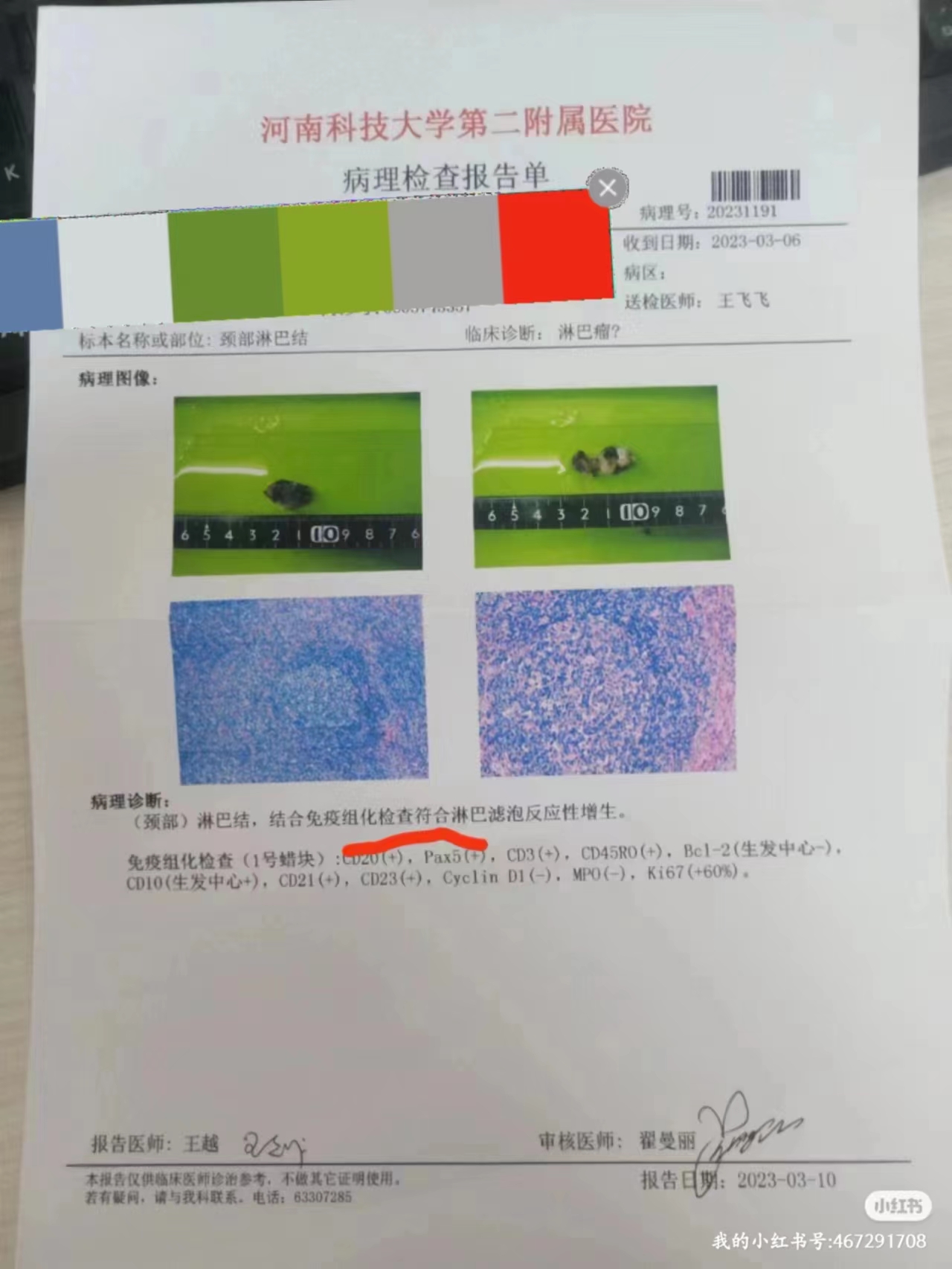 d9dc914bd5108d985a0a993d9cc76d3.jpg