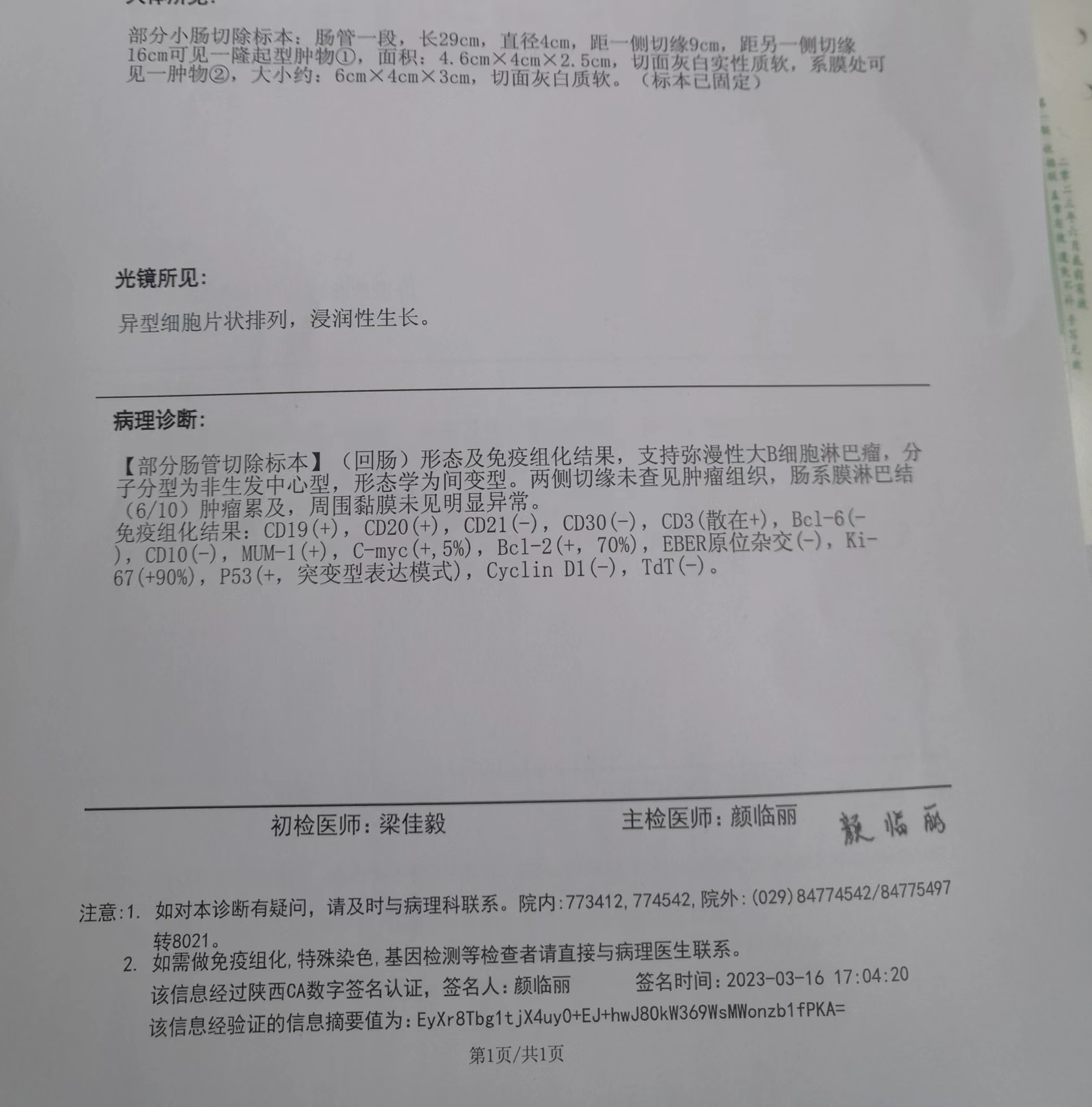 病理.jpg