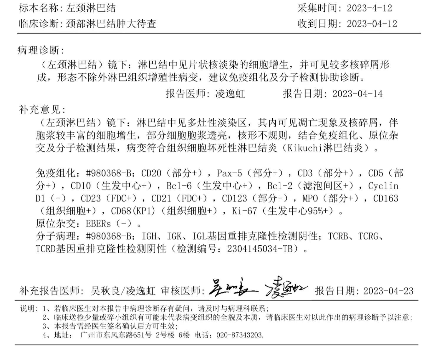 活检报告