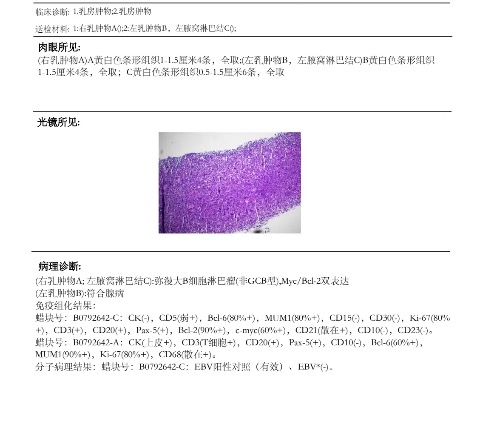 1CFFD044-DDD8-4DE1-B419-F6E869A466D4.jpeg
