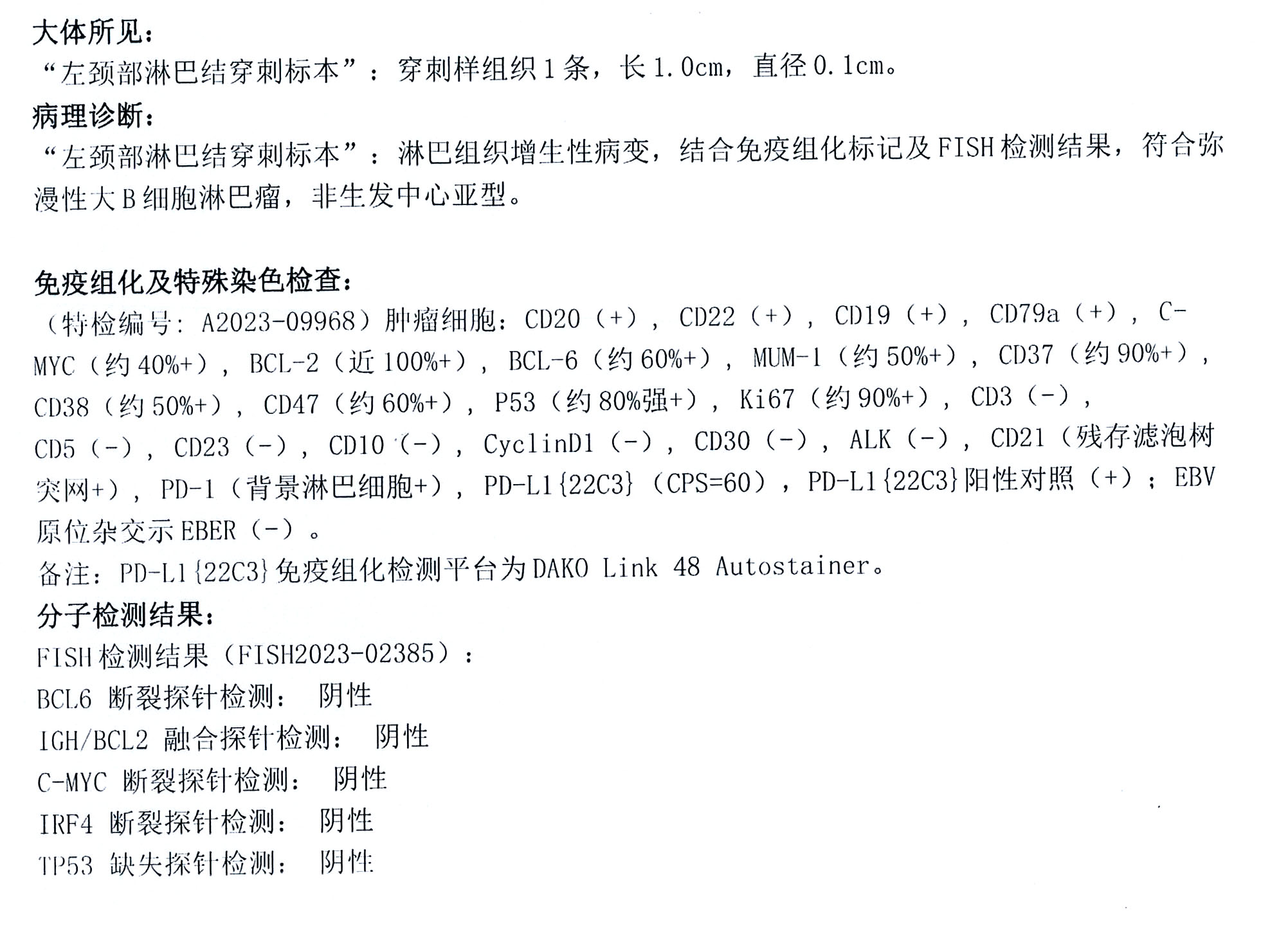 病理1.jpg