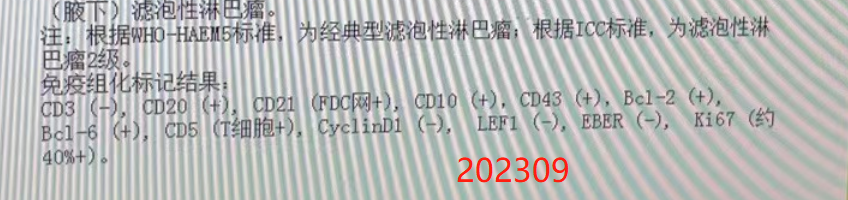 2023年免疫组化
