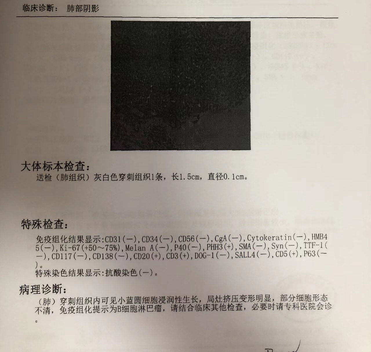 微信图片_20230919165350.jpg