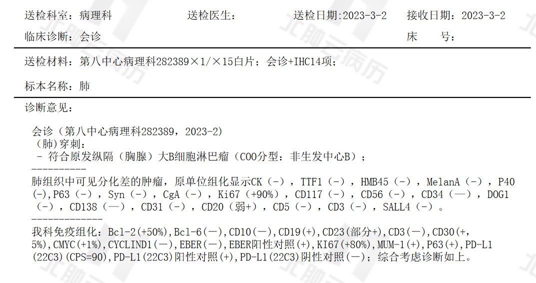 北肿免疫组化.png
