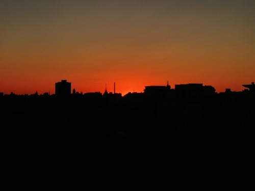 IMG_20231020_062808.jpg