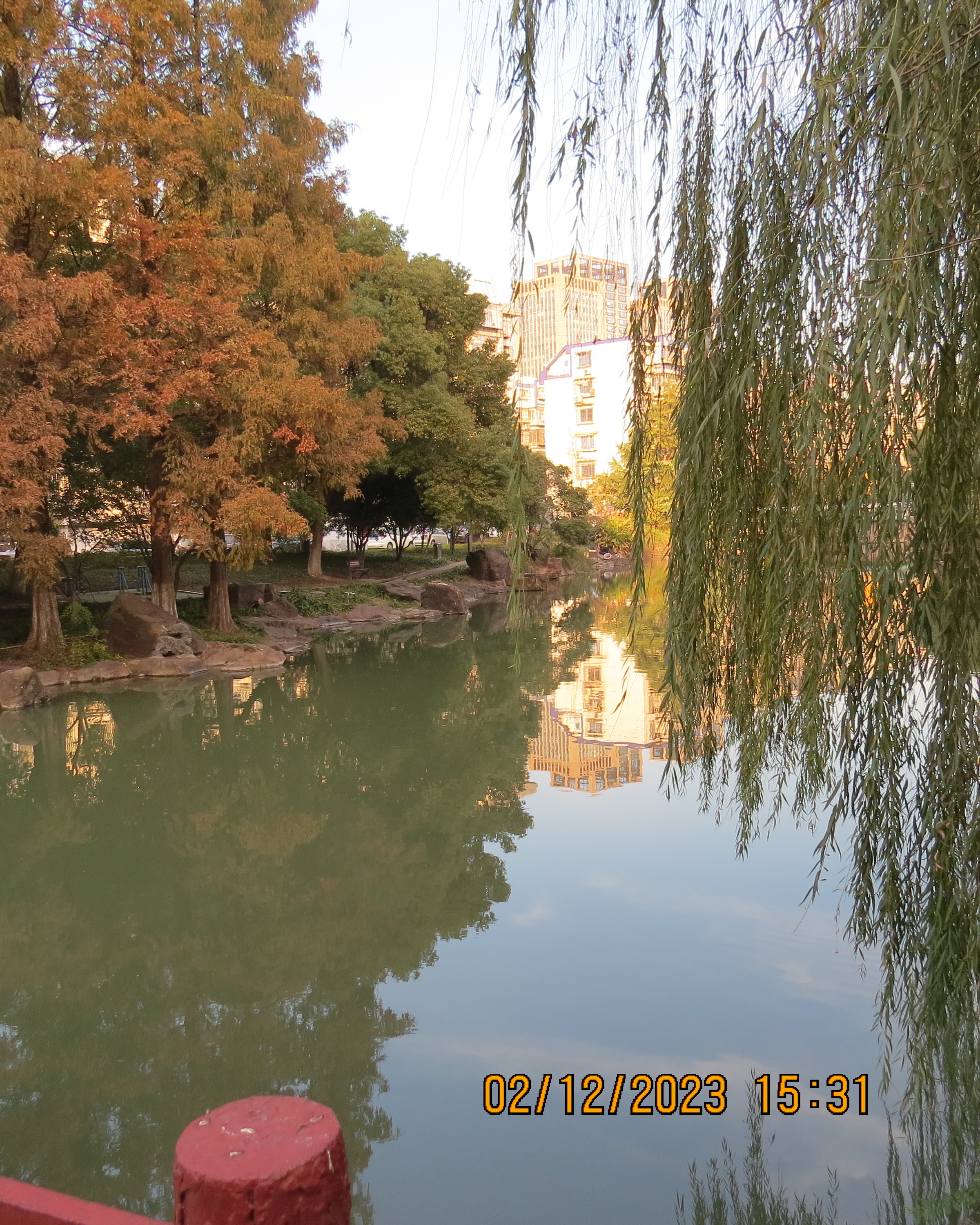 IMG_2938.JPG