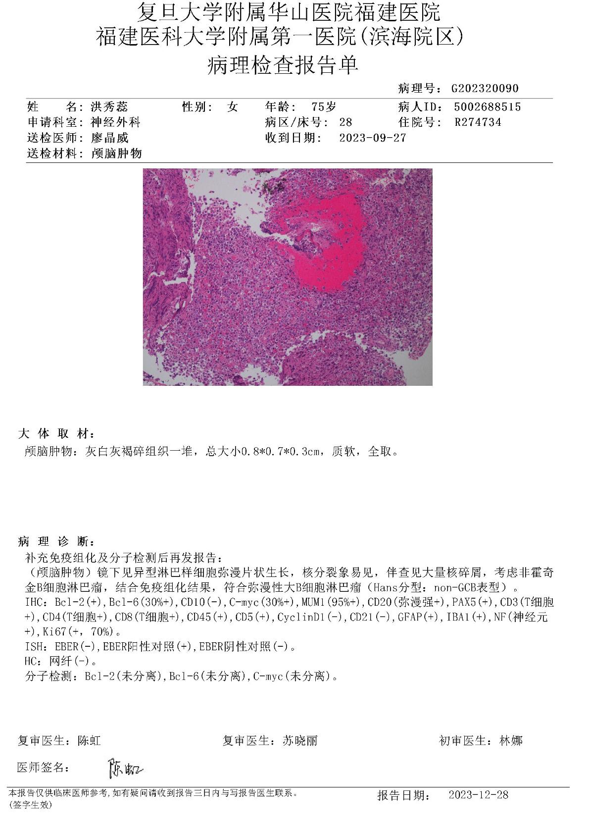 福医大附属第一医院免疫组化和fish报告20231228.jpg