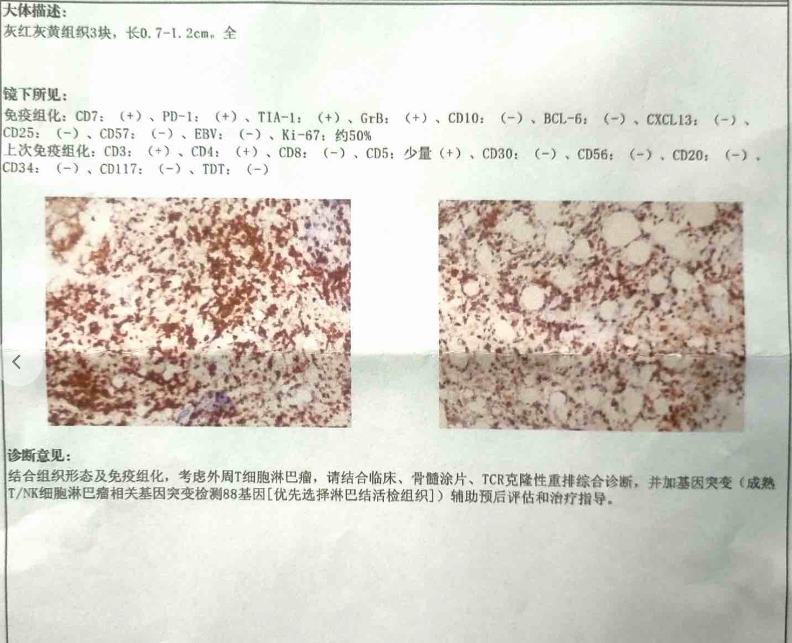 655c1a24651e7539fd69d7a14.png