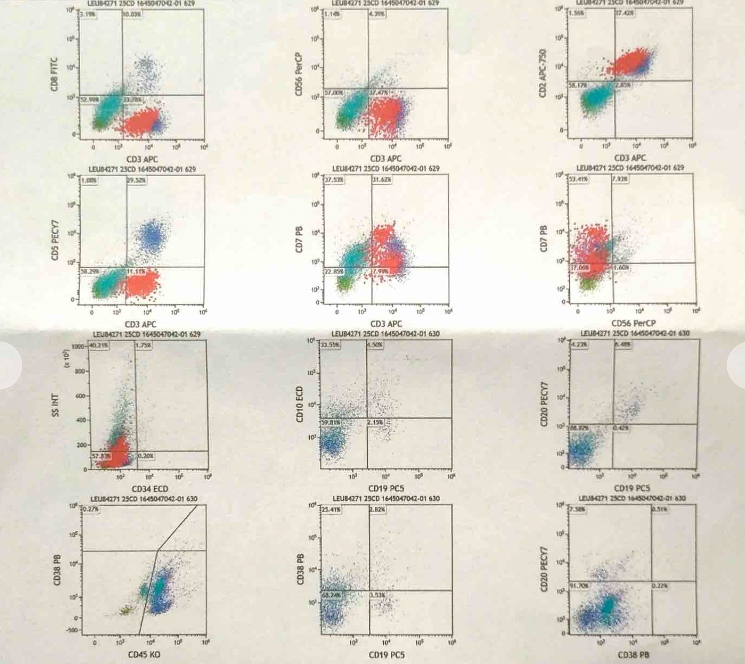 1429360dd9d501d18df76d6c1.png
