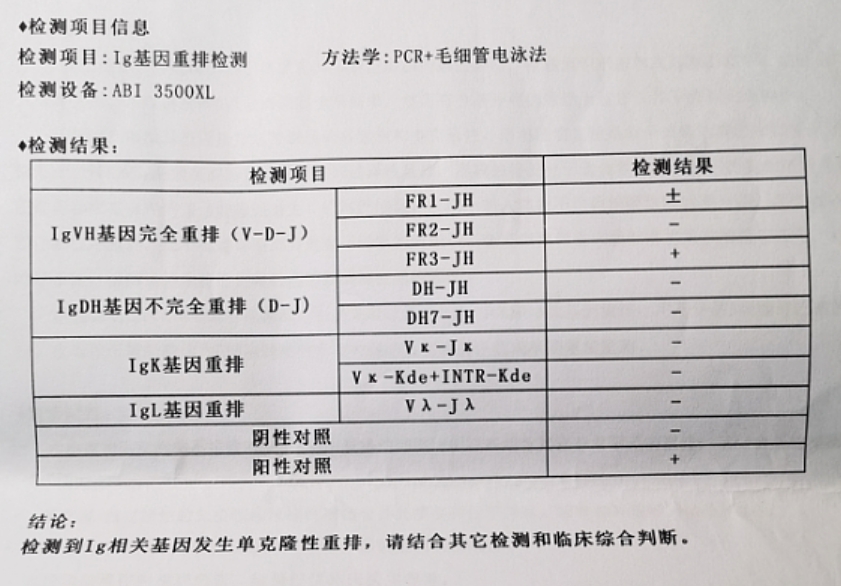 基因检查nm_20240822105722.png