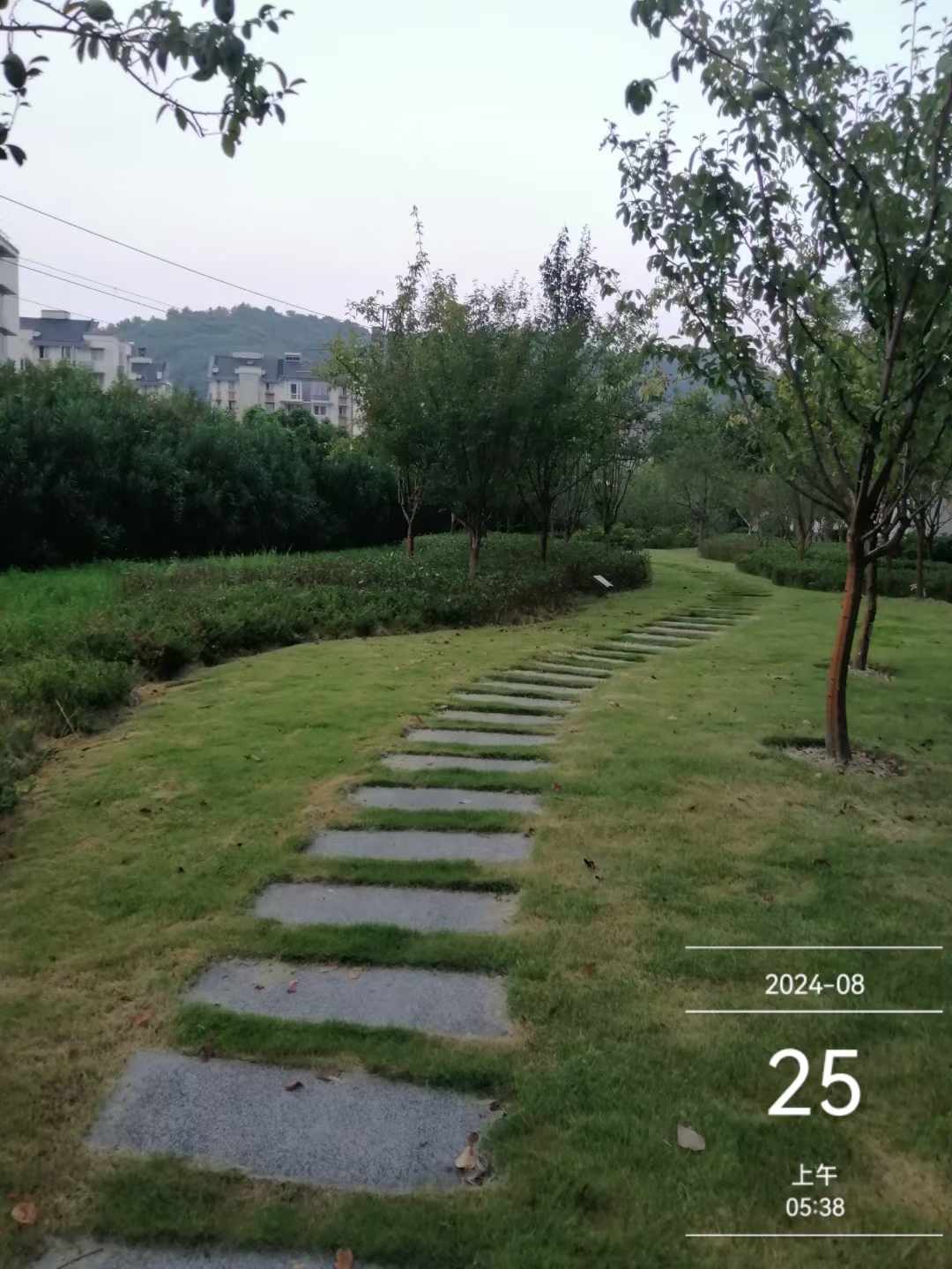 微信图片_20240825070812.jpg