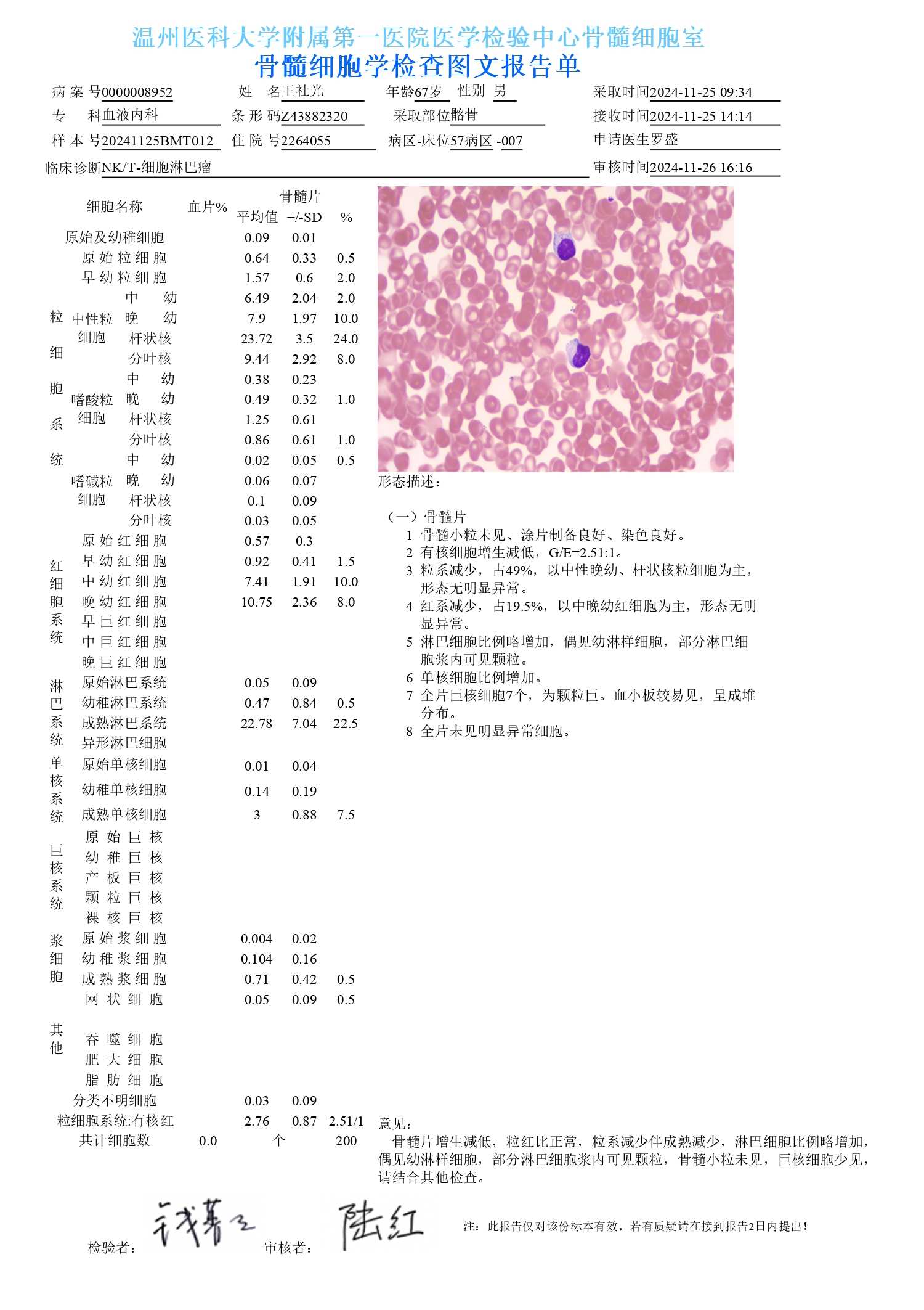 骨髓细胞学_page-0001.jpg