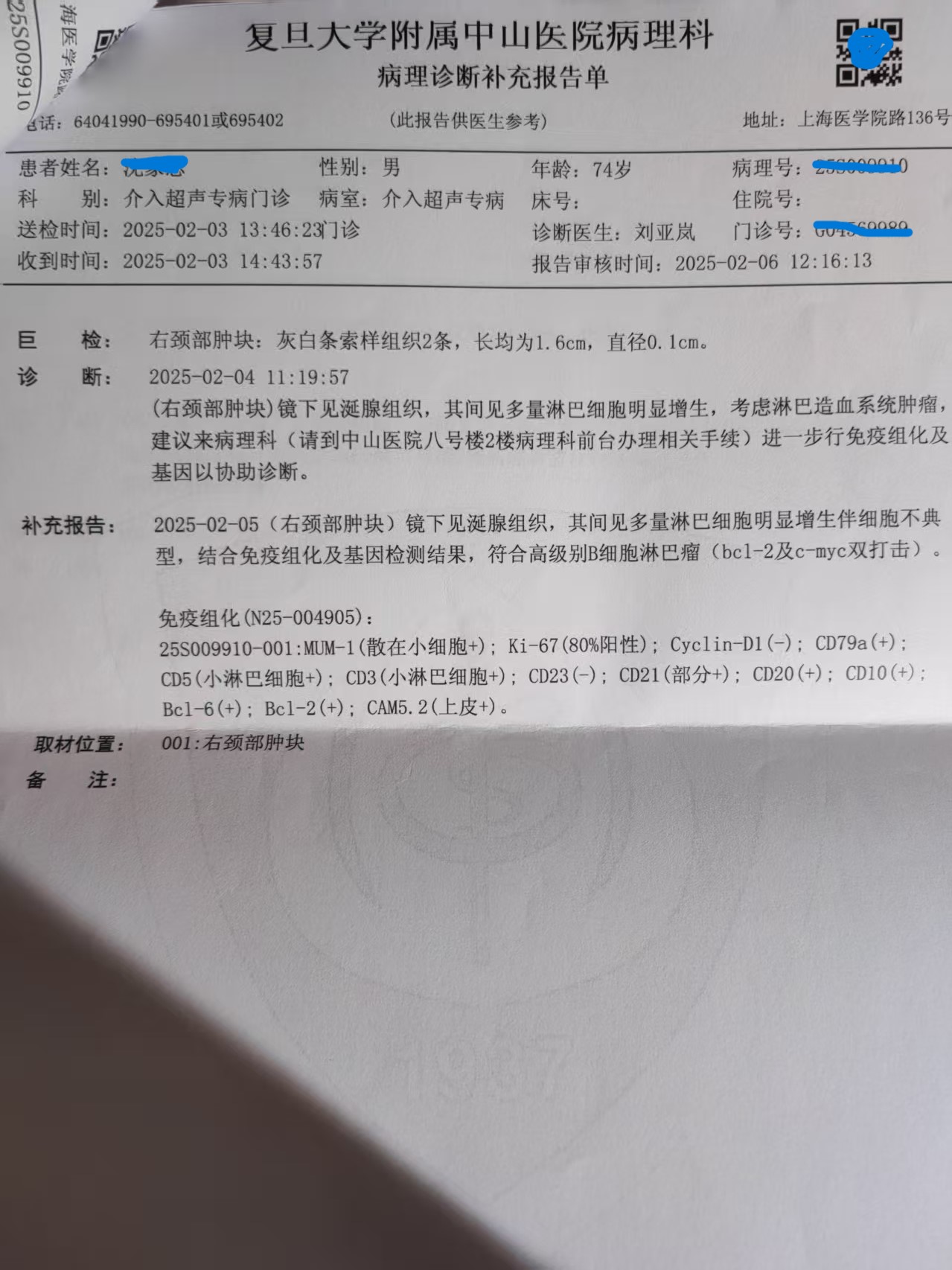 病理报告-分型.jpg