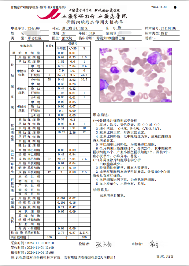 11.1 骨髓1.png
