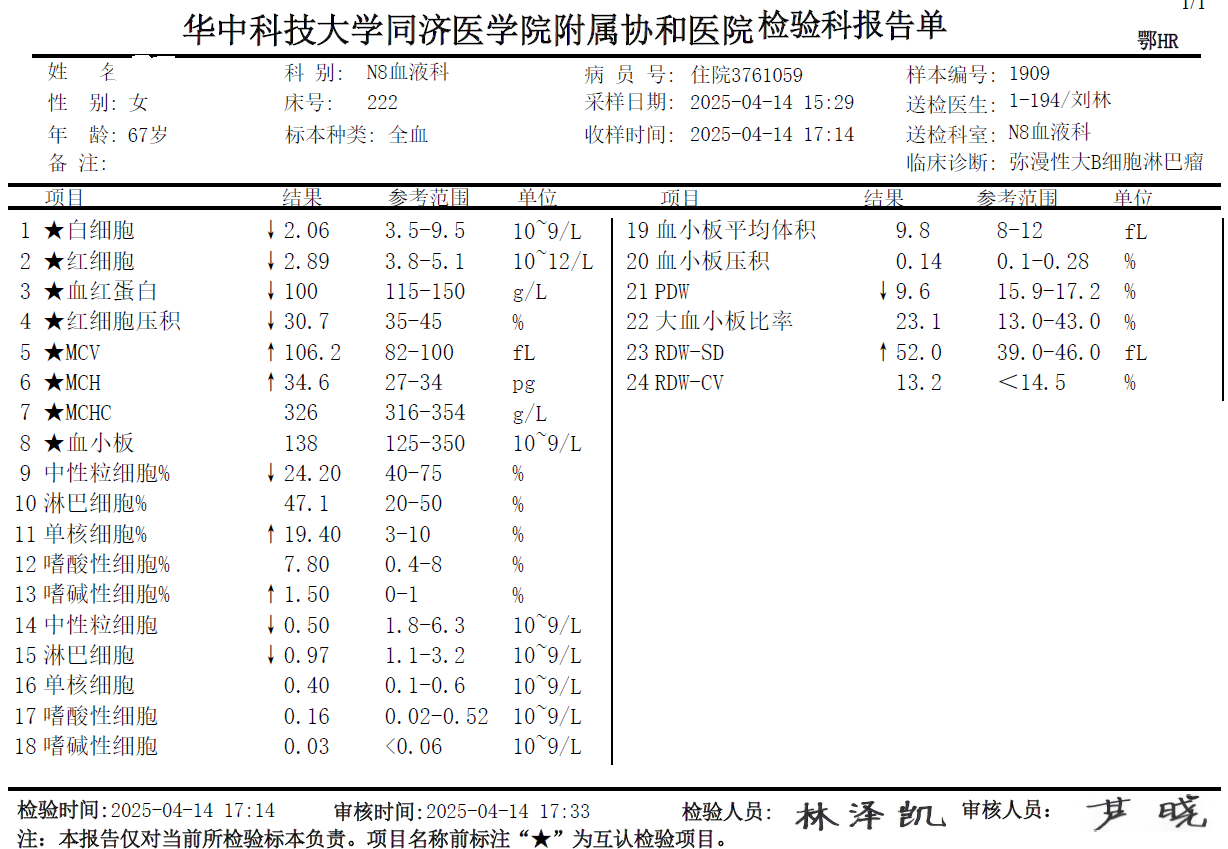 CART回输三个月后
