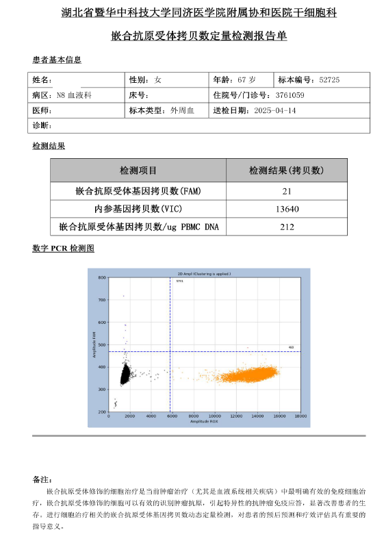 CART回输三个月后