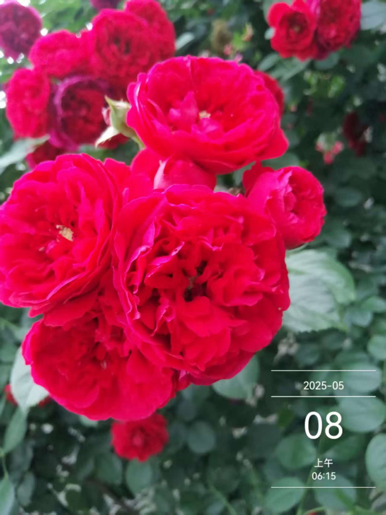 微信图片_20250508080551.jpg