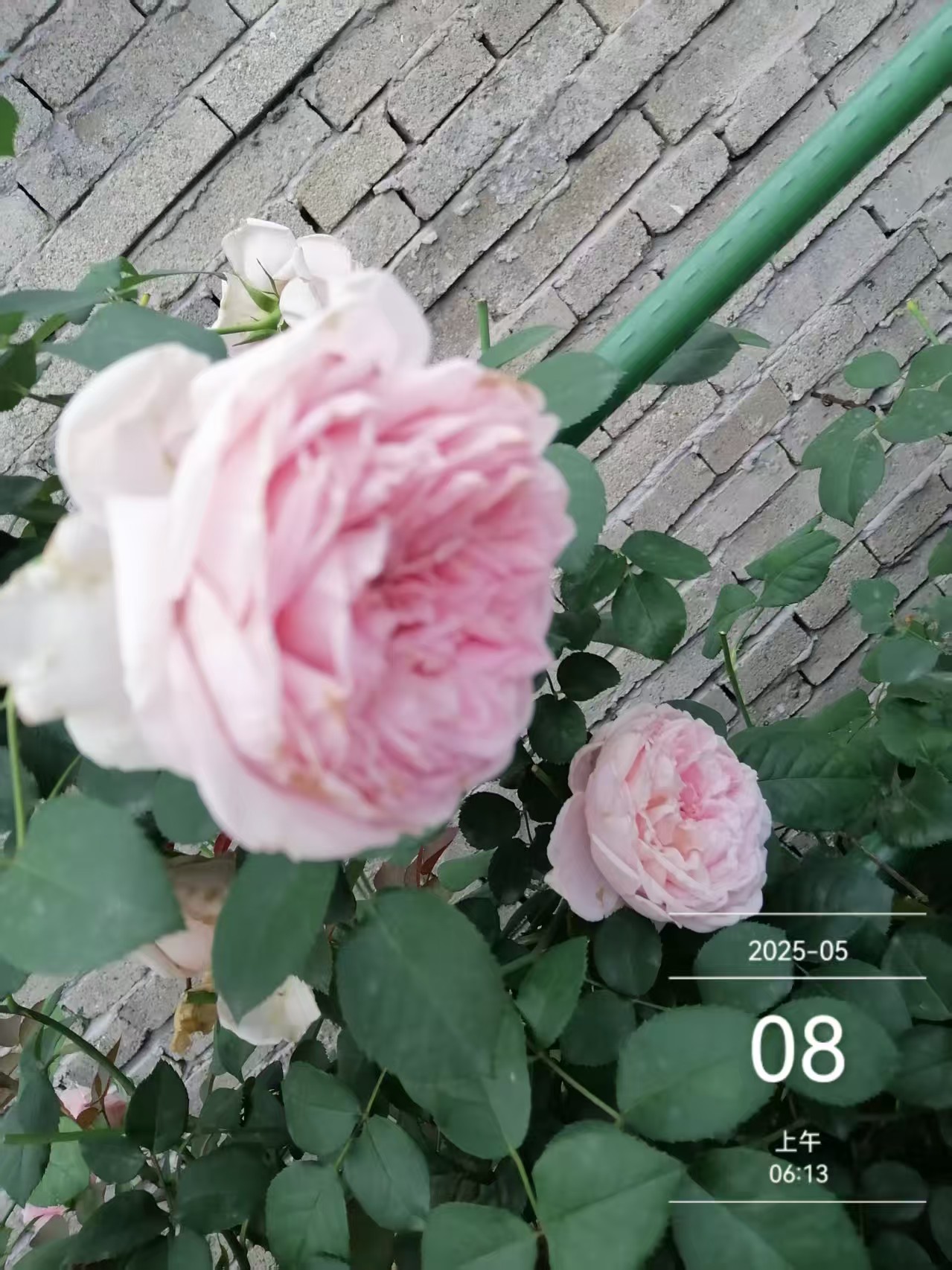 微信图片_20250508080638.jpg