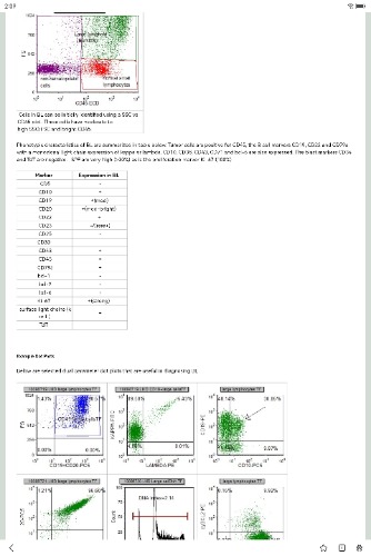 Screenshot_20250531_140919_com.baidu.searchbox.lite.jpg