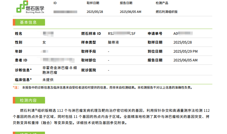 报告.png