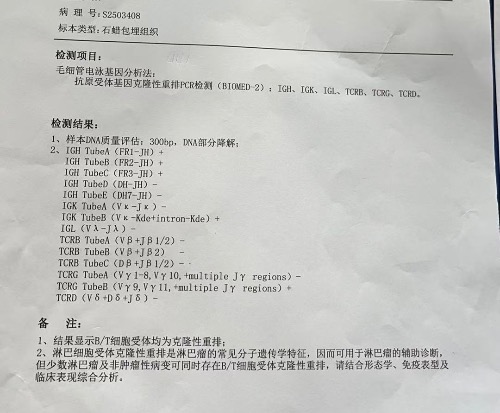 7067C44B-92C7-410E-ABC9-FC0496C1593B.jpeg